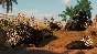 Planet Zoo: Arid Animal Pack DLC * STEAM РОССИЯ🔥