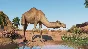 Planet Zoo: Arid Animal Pack DLC * STEAM РОССИЯ🔥