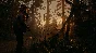 💝Alan Wake 2 Deluxe Edition Xbox series X|S🔅