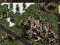 ⭐ Commandos: Behind Enemy Lines Steam Key 🔑GLOBAL