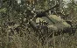 ⭐ Call of Duty: World at War Steam Key 🔑GLOBAL