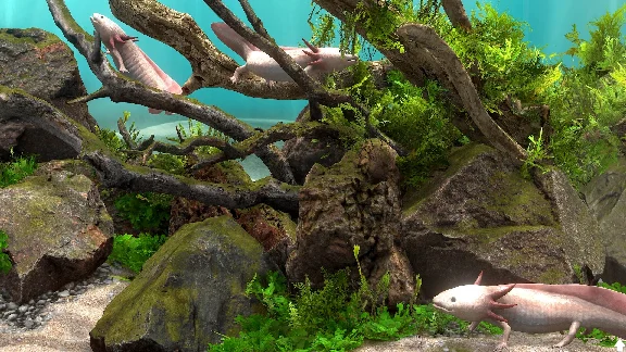 Behind Glass: Aquarium Simulator - STEAM GIFT RUSSIA