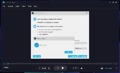 🔼 Vidmore Player 🔑 Регистрационный код на 1 год 🚀