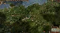 ⭐ Europa Universalis IV Digital Extreme Edition Steam K