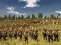 ⭐ Rome: Total War Gold Edition Steam Key 🔑GLOBAL