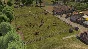 ⭐ Banished Steam Key 🔑 GLOBAL