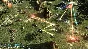 ⭐ Meridian: New World Steam Key 🔑 GLOBAL