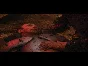 ⭐ Realms of the Haunting Steam Key 🔑 GLOBAL