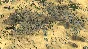 ⭐ Stronghold Crusader 2 Special Edition English Only EU