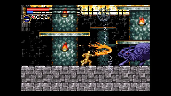 RU+CIS* | Castlevania Advance Collection | STEAM KEY