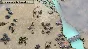 ⭐ Frontline: Road to Moscow Steam Key 🔑GLOBAL