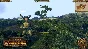 ⭐ Total War: Warhammer - Realm of The Wood Elves DLC RU