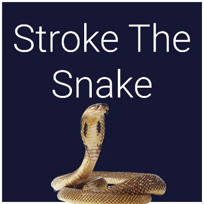 Stroke The Snake PS5
