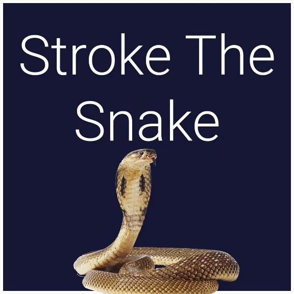 Stroke The Snake PS5