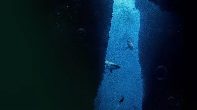 Submersed PS4 & PS5
