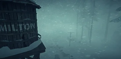 The Long Dark АВТОДОСТАВКА STEAM РОССИЯ