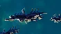 ⭐ Planetary Annihilation: TITANS EU Steam Key 🔑EUROPE
