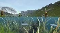 ⭐ Ultimate Fishing Simulator Steam Key 🔑GLOBAL (NO RU/