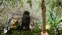 Day One: Garry´s Incident (Steam Gift RU/CIS)
