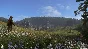 ⭐ Kingdom Come: Deliverance Special Edition Steam Key