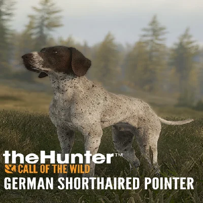 🔴 theHunter: Call of the Wild™ - German Shorthaired Po