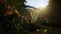 Treasure Hunter Simulator Steam Key