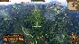 ⭐ Total War: Warhammer - Realm of The Wood Elves DLC EU