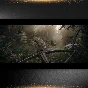 🟦⭐Kingdom Come: Deliverance II - Expansion Pass⚡STEAM