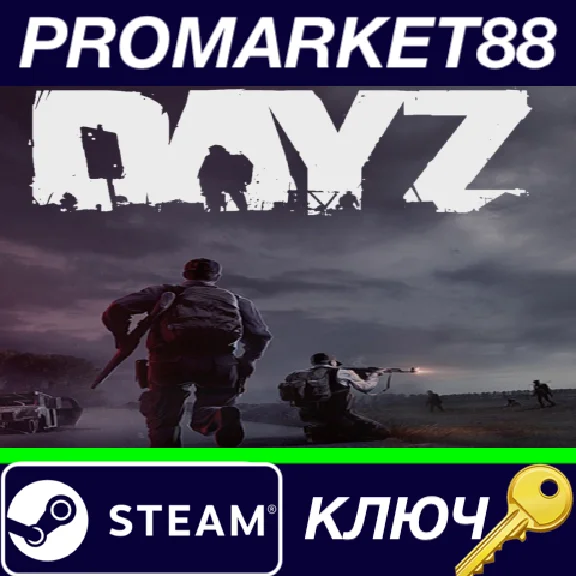 ⭐ DayZ EU PC Steam Key 🔑 EUROPE