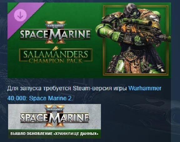 Warhammer 40,000 Space Marine 2 Salamanders Champion Pa