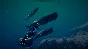 ⭐ Beyond Blue EU Steam КЛЮЧ 🔑 ЕВРОПА