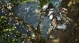 ⭐ Predator: Hunting Grounds Steam Key 🔑GLOBAL