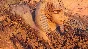 Builders of Egypt (steam key)