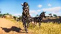 ⭐ Planet Zoo: Ultimate Edition 2021 Steam Key 🔑GLOBAL