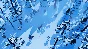 ✅The Wild Eight⚡Steam\RegionFree\Key⭐