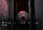 SLG Remix Steam Key