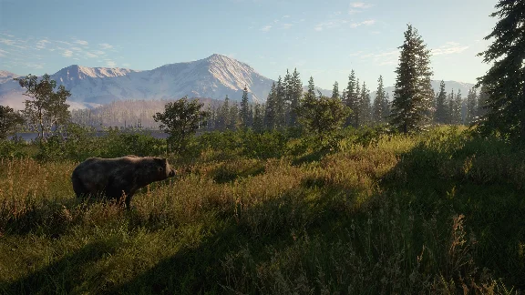 ⭐ theHunter: Call of the Wild Diamond Bundle Steam Key