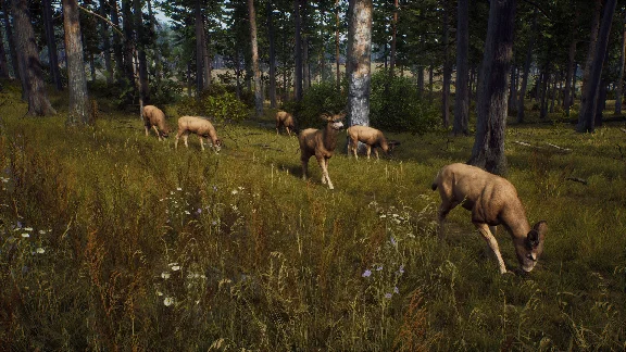⭐ Way of the Hunter Steam Key 🔑 GLOBAL