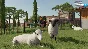 ⭐ Farming Simulator 22 Platinum Edition Steam Key