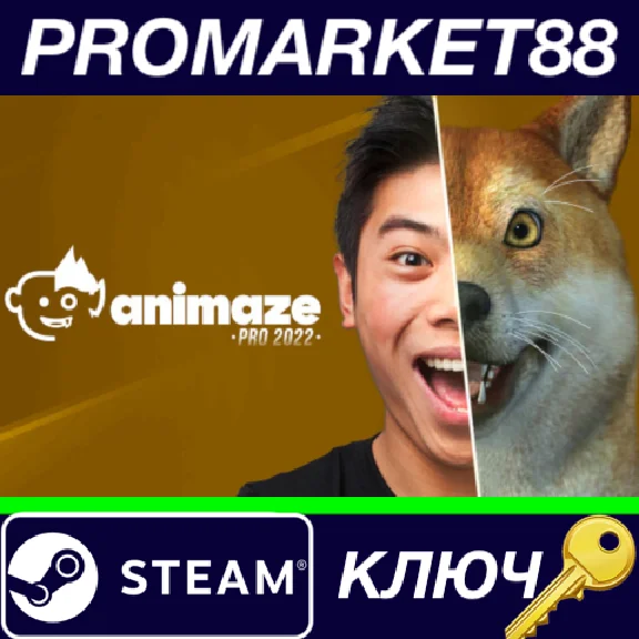 ⭐ Animaze Pro 22 - Lifetime License DLC Steam КЛЮЧ