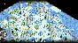 ⭐ The Battle of Polytopia - Polaris Tribe DLC Steam Key