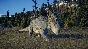 ⭐ Jurassic World Evolution 2 - Deluxe Upgrade Pack DLC