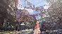 ⭐ Tales of Arise: Beyond the Dawn Deluxe Edition EMEA S