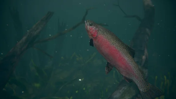 ⭐ Ultimate Fishing Simulator 2 EU Steam Key 🔑EUROPE