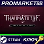 ⭐The Thaumaturge Deluxe Edition Steam КЛЮЧ 🔑GLOBAL