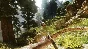 ☑️⭐ARK: Survival Ascended XBOX +DLC⭐Buy it u⭐☑️.
