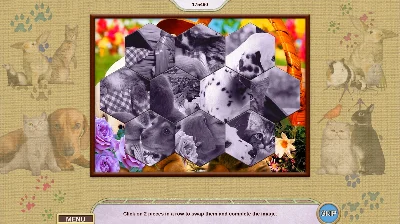 ⭐My Lovely Pets Collector&acute;s Edition Steam КЛЮЧ 🔑GLOBAL