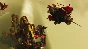 ⭐️ Bulwark Evolution Falconeer Chronicles Verne Bannerl