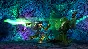 ⭐ Legacy of Kain: Soul Reaver 1&2 Remastered PC Steam K