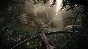 Kingdom Come: Deliverance II (Steam key) RU CIS